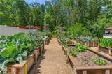 5479 Jonquil Ln - Photo 43