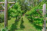 5479 Jonquil Ln - Photo 44