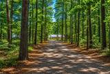8253 Manor Dr - Photo 2