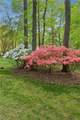 108 Flag Creek Rd - Photo 46