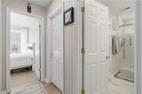 3900 Orchard Spring Way - Photo 33