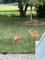 134 Whimbrel Dr - Photo 46