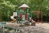802 Primrose Ln - Photo 47
