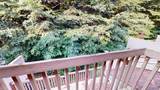 211 Bridgewater Dr - Photo 3
