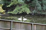 206 Padgetts Ordinary - Photo 48