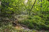 Lot 9 Deerwood Ct - Photo 6