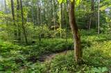 Lot 9 Deerwood Ct - Photo 7