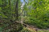 Lot 9 Deerwood Ct - Photo 8
