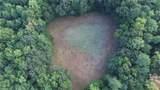 40.9AC White Meadow Rd - Photo 5