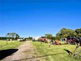 2212 Carolina Rd - Photo 3