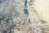 Lot B Buskey Rd - Photo 6