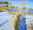 16272 Crystal Beach Rd - Photo 2