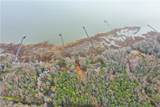 5.1+AC High Bluff Ln - Photo 11