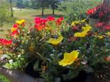 1226 Foursome Ln - Photo 4