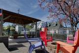 153 Shell Dr - Photo 29