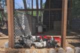 2244 Benefit Rd - Photo 37