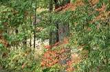 612 Mary Robert Ln - Photo 40