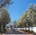 226 Island Cove Ct - Photo 22