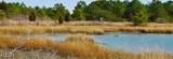 2208 Dinwiddie Rd - Photo 47