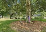 213 Regent Rd - Photo 20