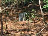 Lot 19 Grantier Cir - Photo 8