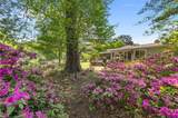 2409 Millwood Rd - Photo 32