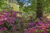 2409 Millwood Rd - Photo 37
