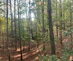 10+AC Groton Tract A Woods - Photo 3