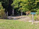 4111 Prospect St - Photo 49