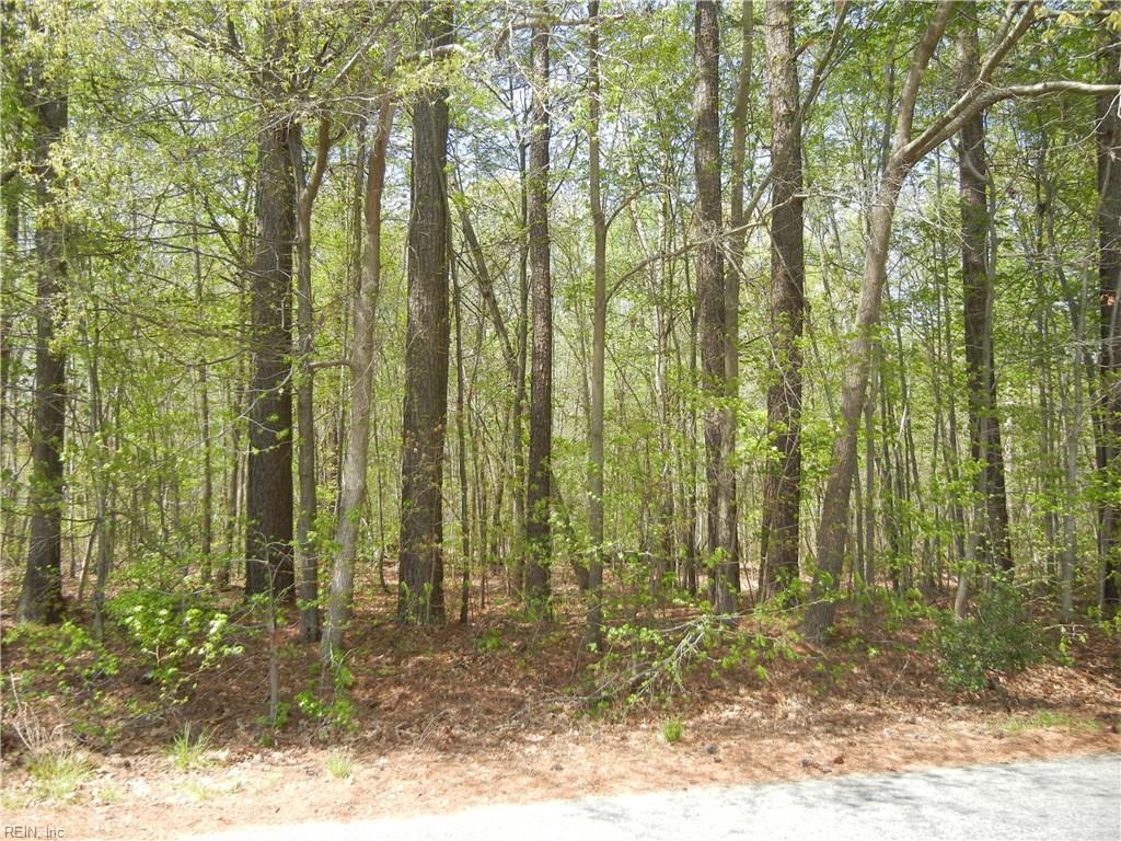 5ACR Forest Ln - Photo 1