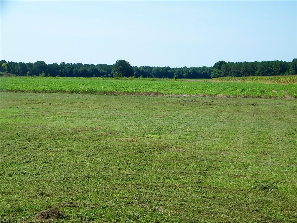 Lot C Deloatche Ave - Photo 1