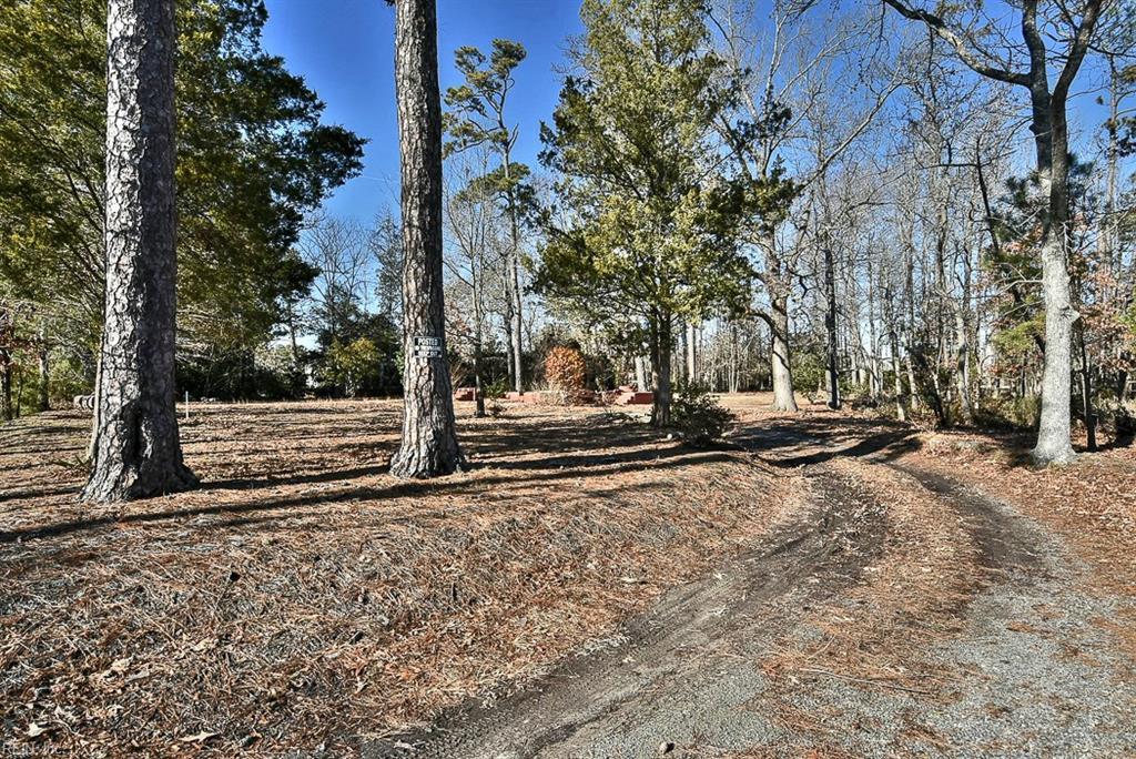 101 Pinewood Rd - Photo 1