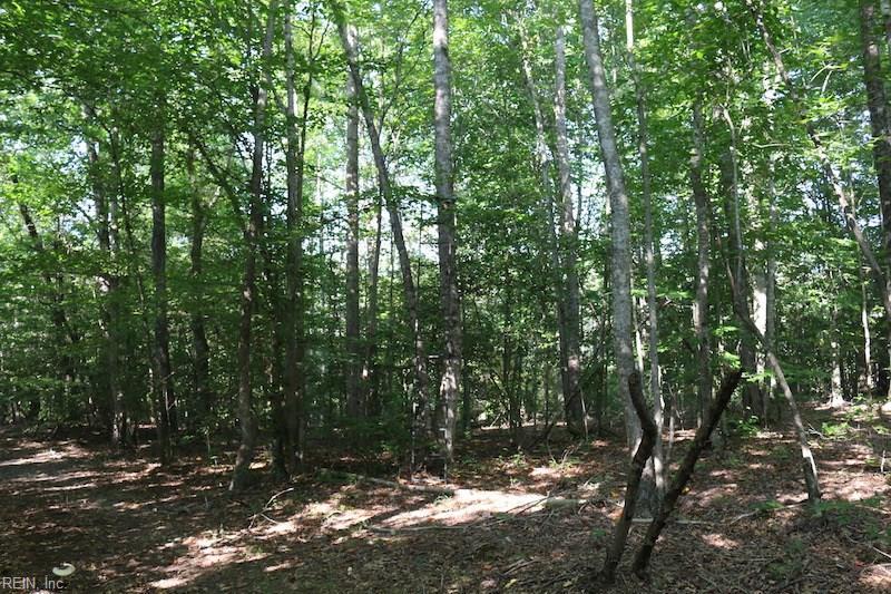 104AC Golden Hill Rd - Photo 1