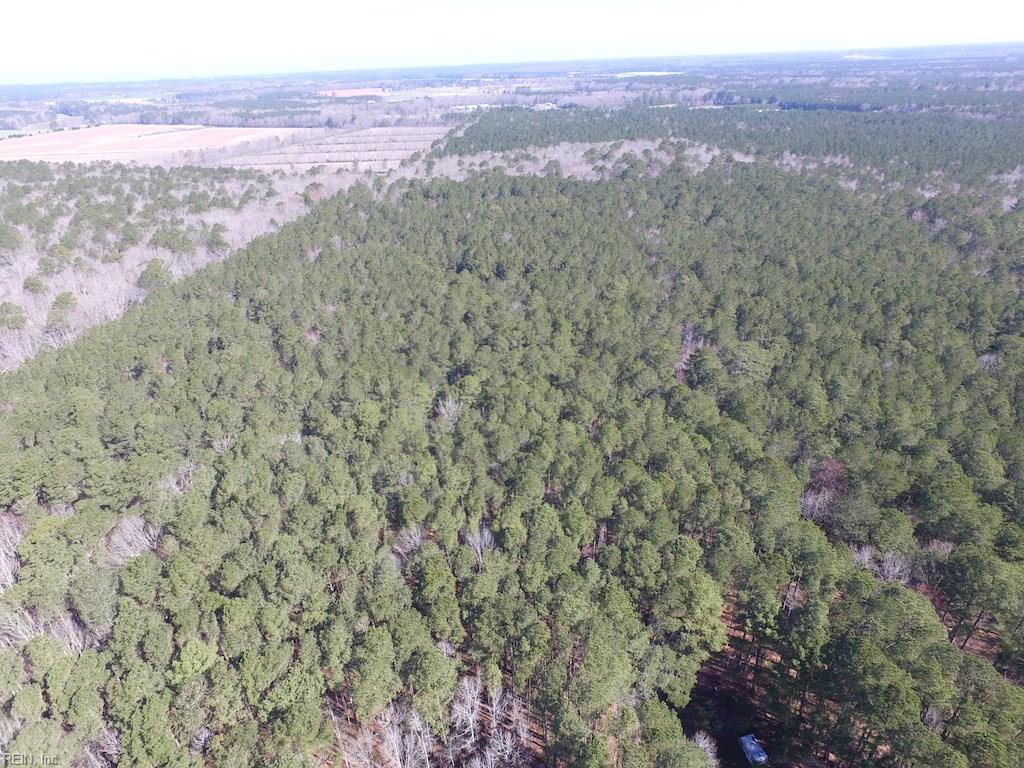 42 Ac Sisco Town Rd - Photo 1