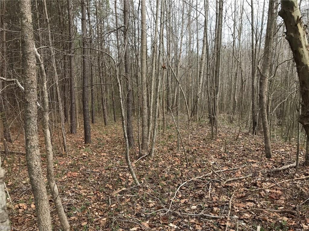 38-188 Hickory Fork Rd - Photo 1