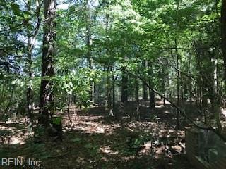 2.38AC Guinea Rd - Photo 1