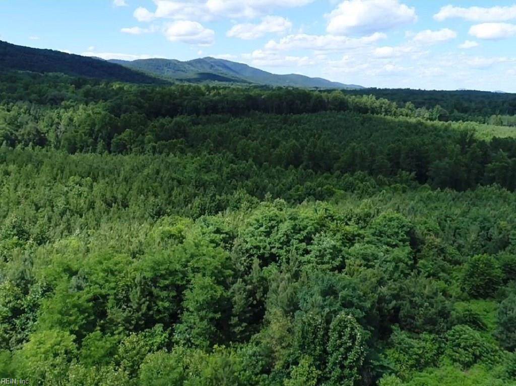 459AC Green Creek Rd - Photo 1