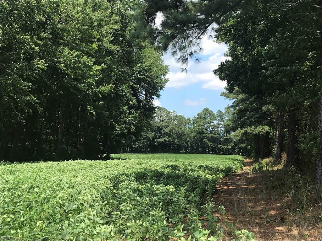 4+ Ac Little Fork Rd - Photo 1