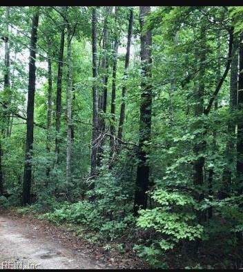 4.96ac Wild Acres Trl - Photo 1