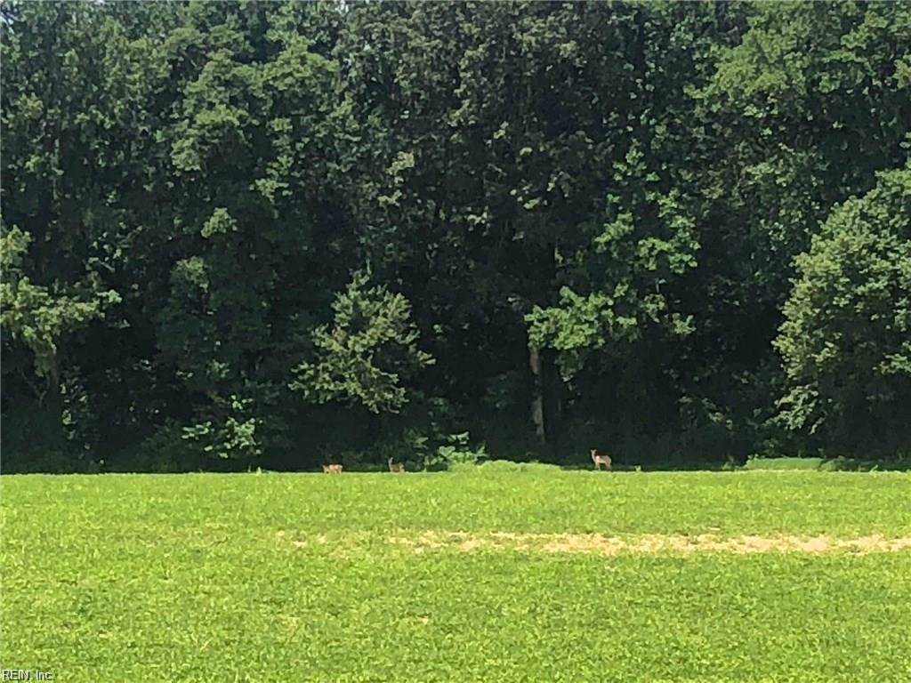 135 Ac Pioneer Rd - Photo 1