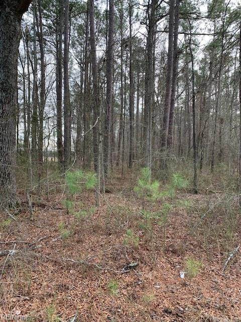 16470 Pittman Rd - Photo 1
