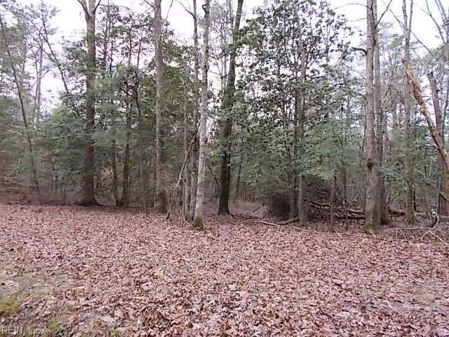 5.21ac Beaver Dr - Photo 1