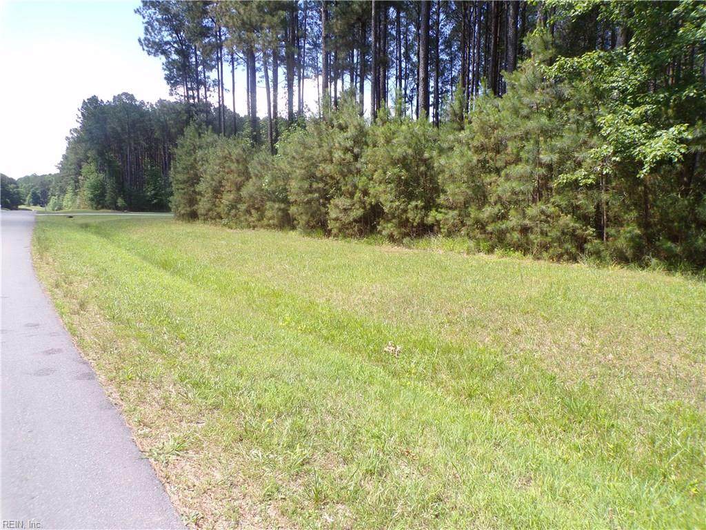 1194 Lawnes Neck Dr - Photo 1