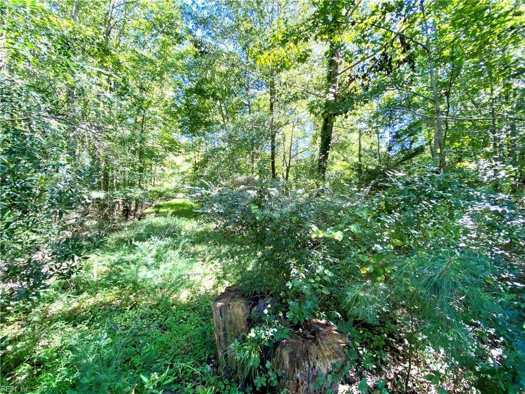 1 Ac Owl's Creek Ln - Photo 1