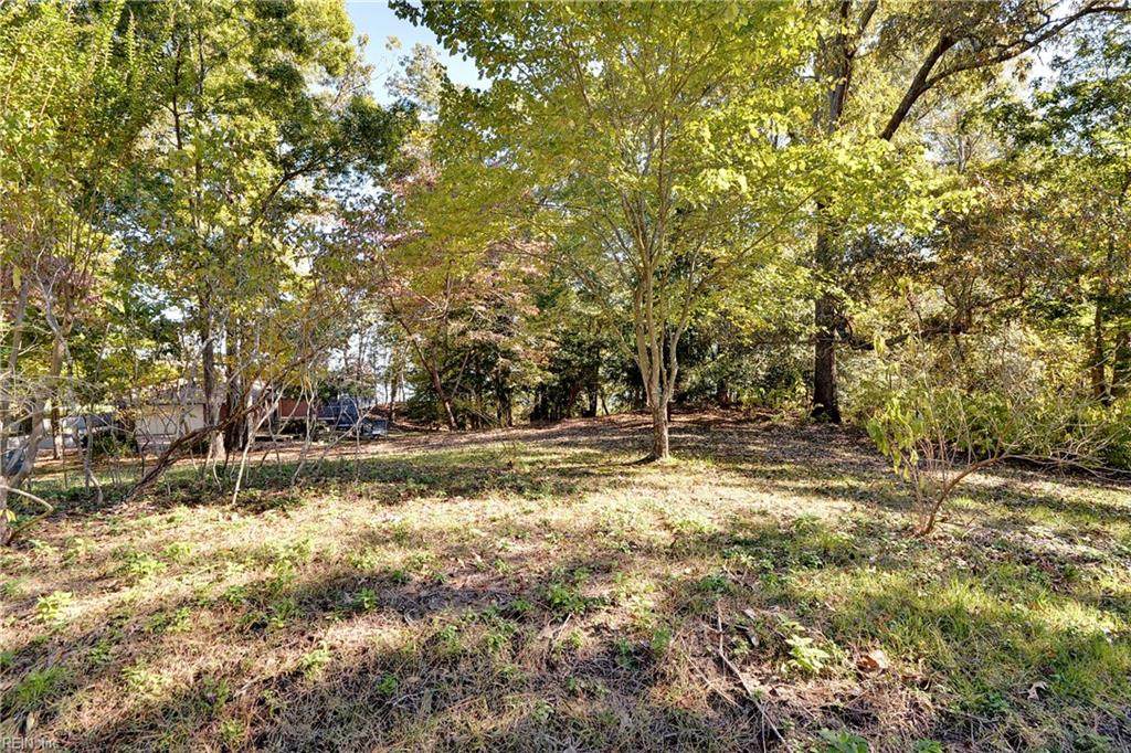 120 Four Mile Tree - Photo 1