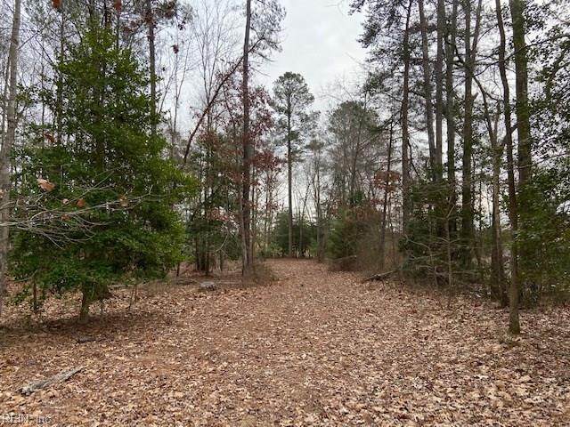 1 Ac Brownsview Ln - Photo 1