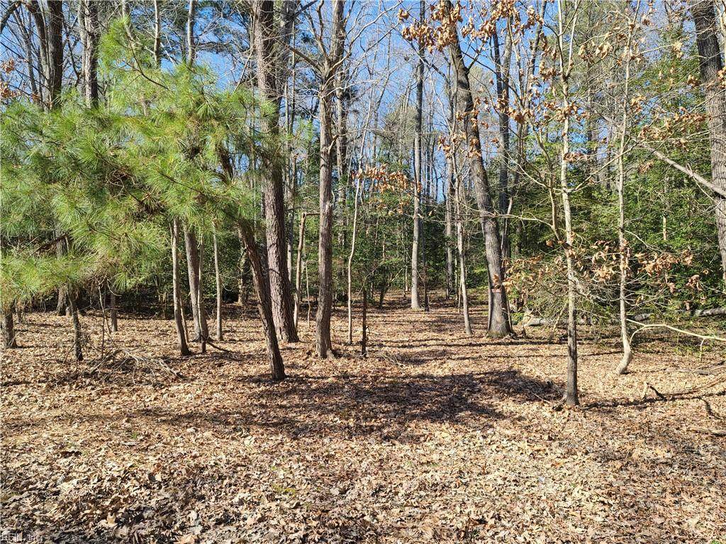 3.27AC Pinewood Rd - Photo 1