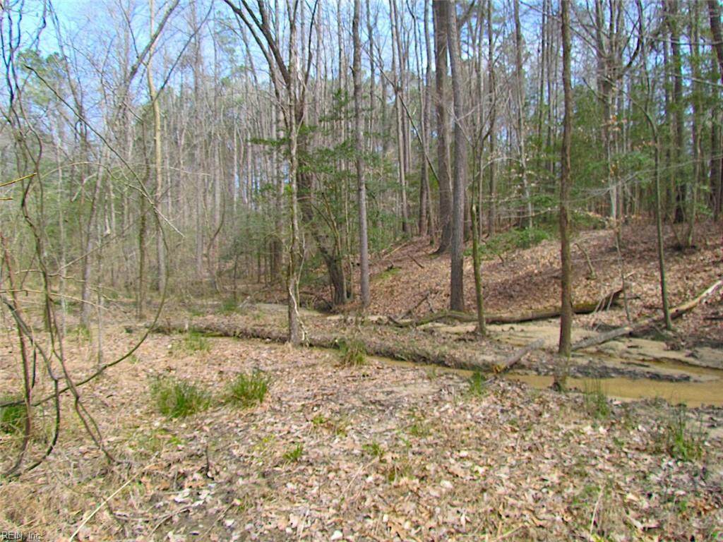 11 Ac Oak Tree Ln - Photo 1