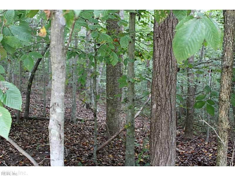 5.05ac Shelby Ln - Photo 1