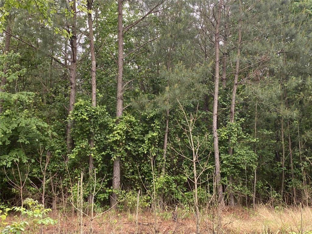 8.76AC Leafwood Rd - Photo 1